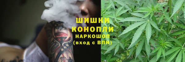 соль ск Белокуриха
