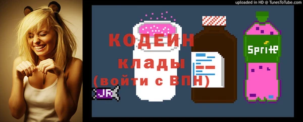 соль ск Белокуриха